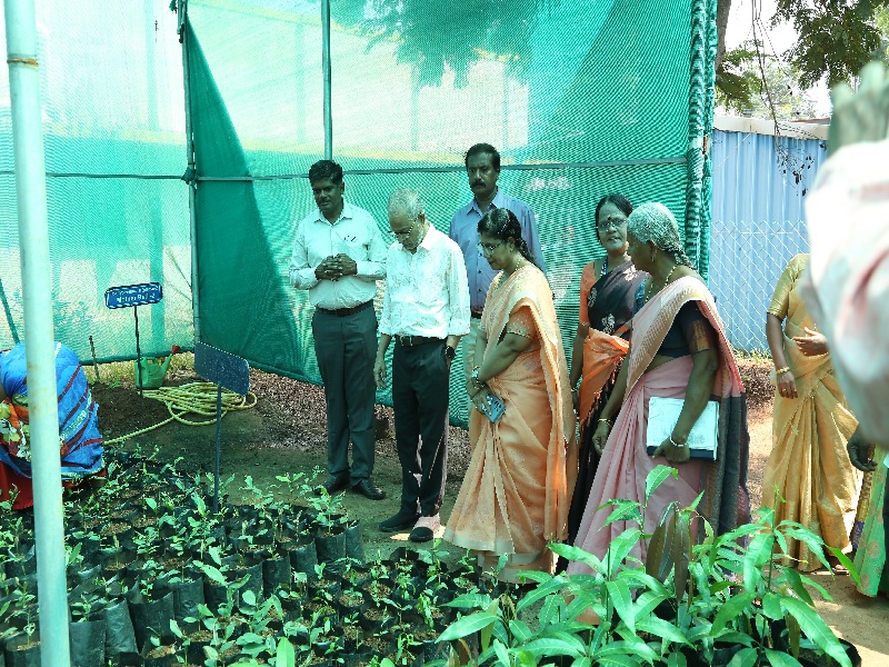 A descriptive alt text